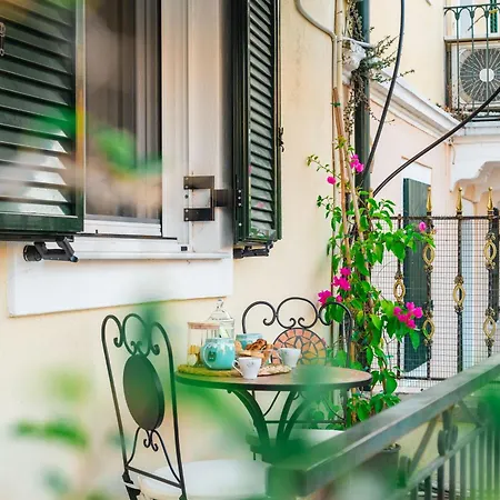 Eucalyptus Corfu Town - Starlink